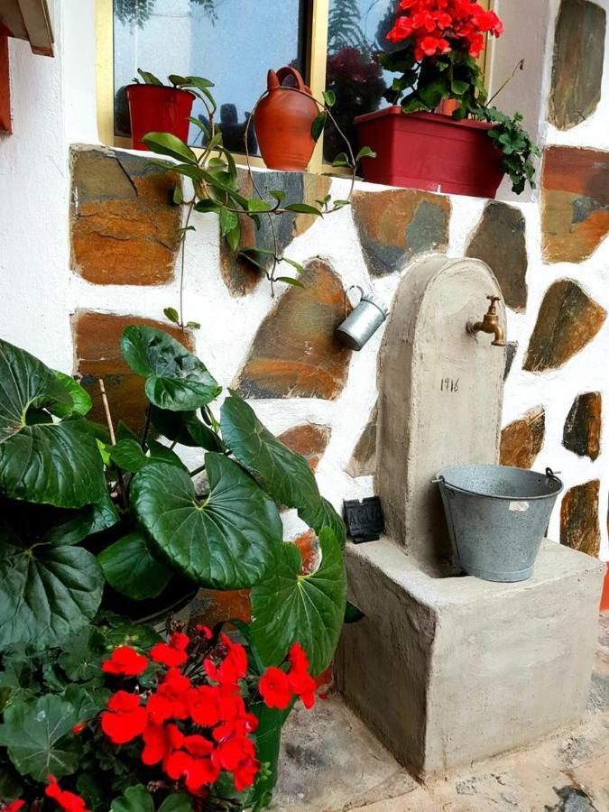 Vivienda Vacacional Ca Na Paula La Orotava Buitenkant foto