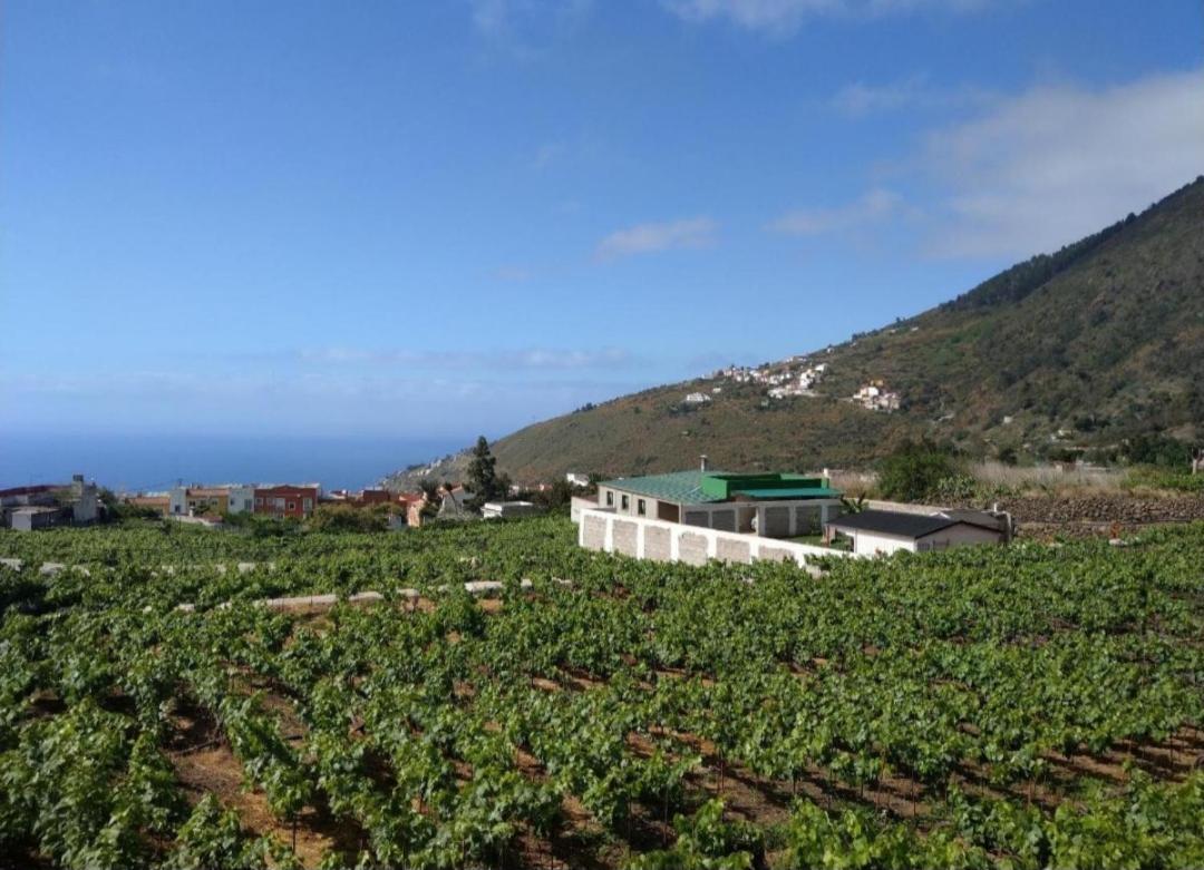 Vivienda Vacacional Ca Na Paula La Orotava Buitenkant foto