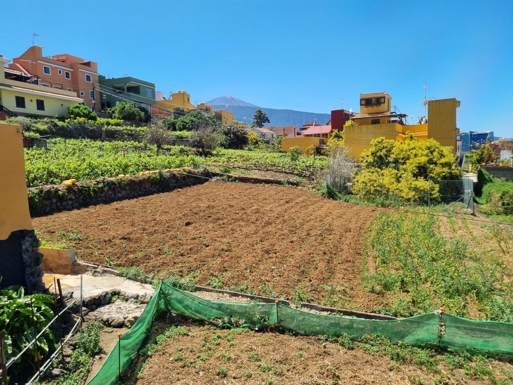 Vivienda Vacacional Ca Na Paula La Orotava Buitenkant foto