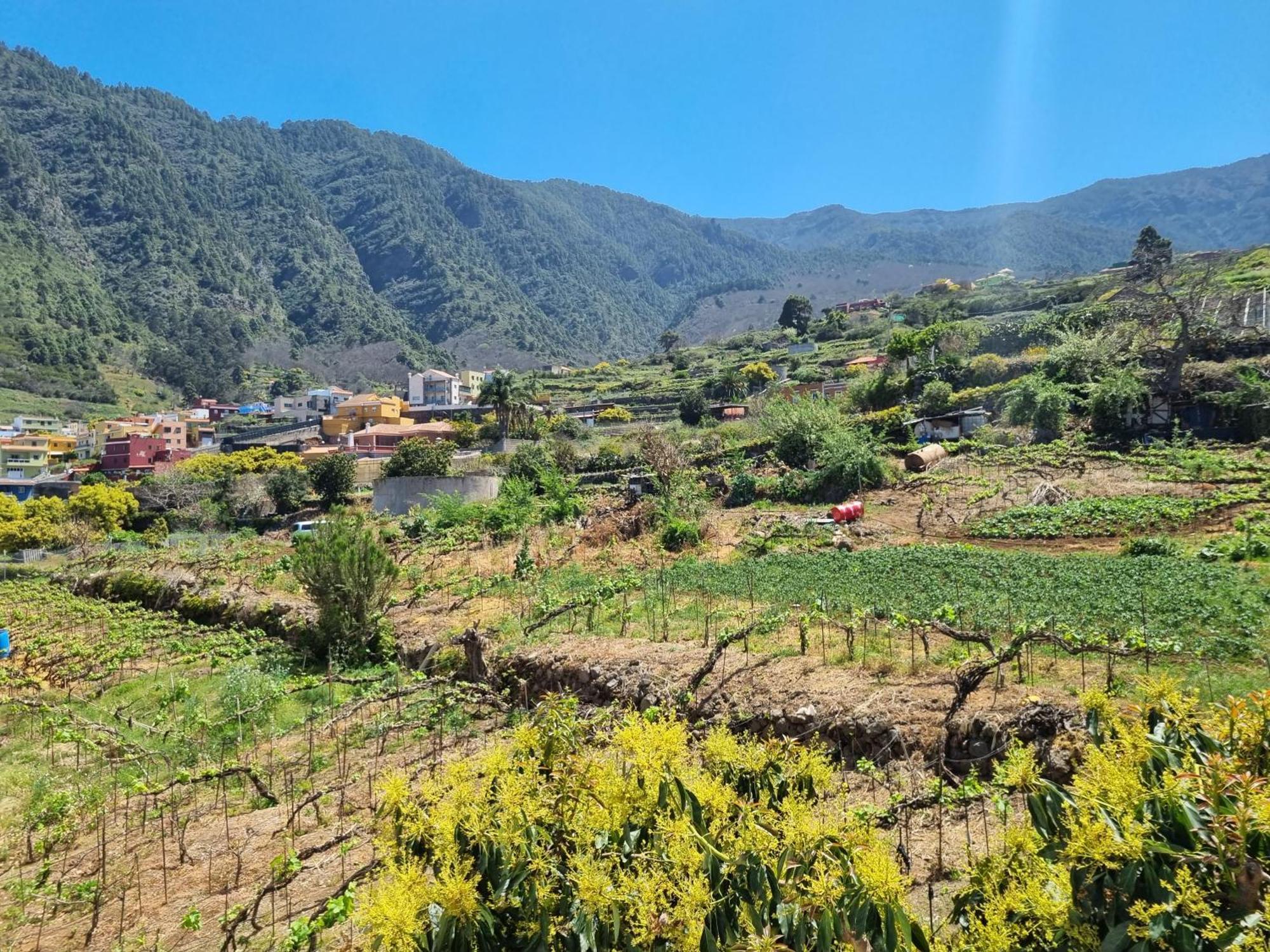 Vivienda Vacacional Ca Na Paula La Orotava Buitenkant foto